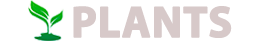 Главная